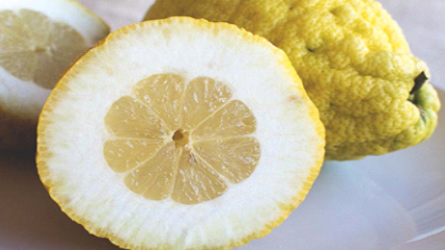 پف کردن پوست نارنگی و مرکبات و کاهش بازارپسندی محصول