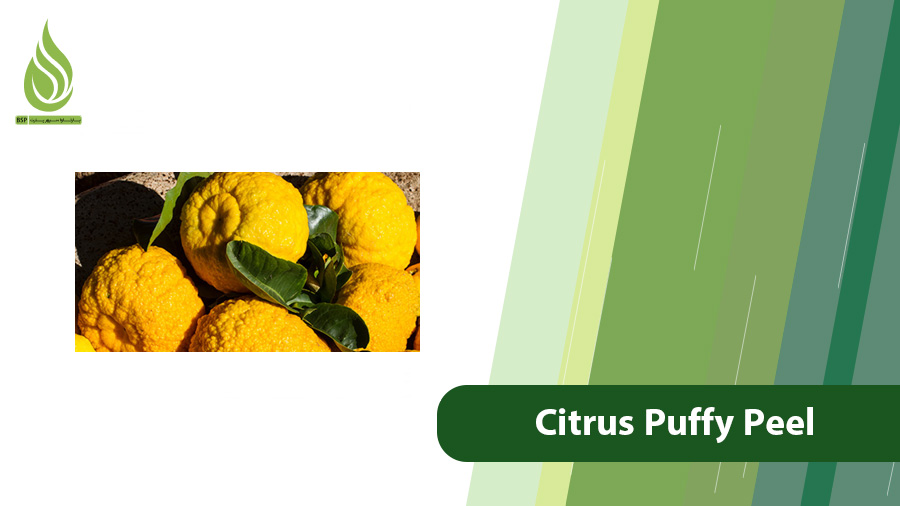 citrus Puffy Peel