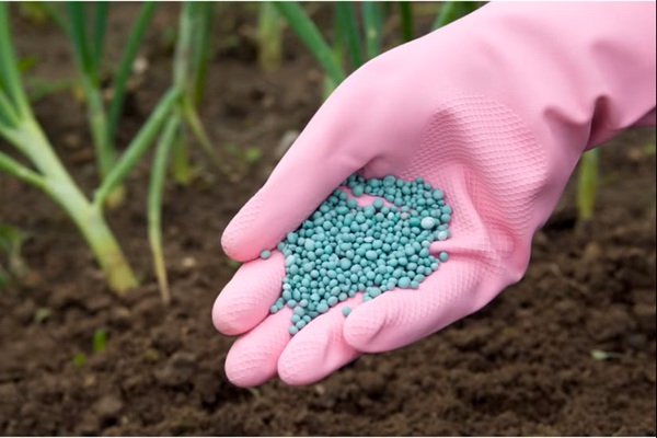 تشخیص کود تقلبی و اصلی