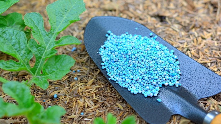 تشخیص کود تقلبی از روی نشانه های ظاهری