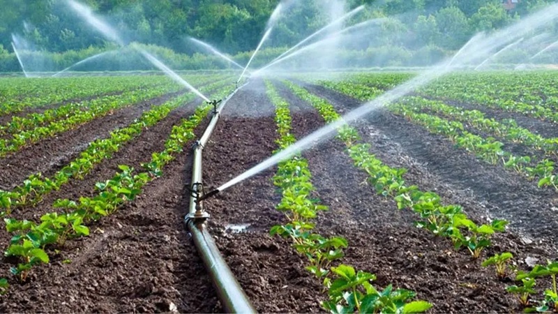 Global Perspectives on Hard Water in Irrigation