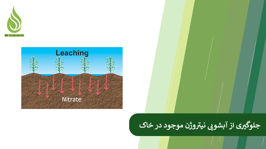 روش های جلوگیری از آبشویی نیتروژن در خاک