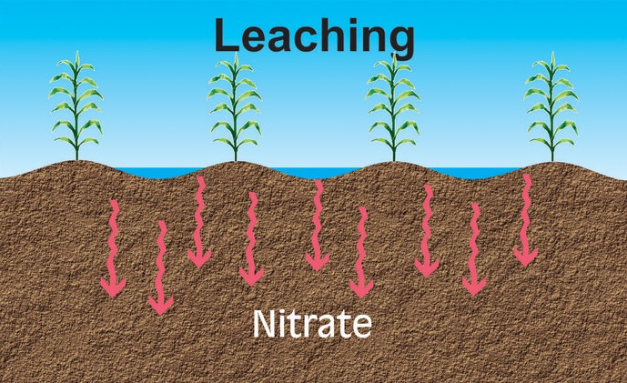 آبشویی نیتروژن در خاک در چه شرایطی اتفاق می افتد؟