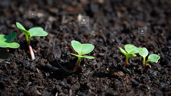 مفهوم آبشویی نیتروژن از خاک