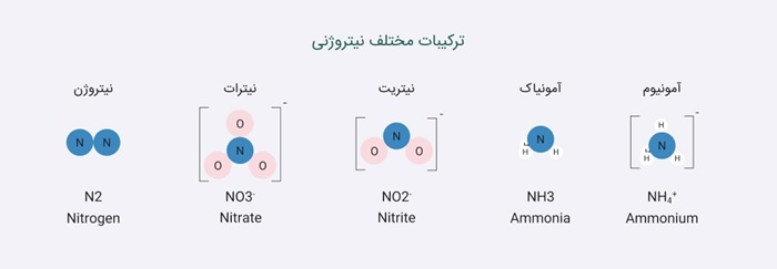 ترکیبات مختلف نیتروژن و نقش آن ها در آبشویی نیتروژن از خاک