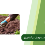 بررسی مزایای کود آهسته رهش در کشاورزی