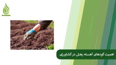 تصویر چرا کشاورزان حرفه ای از کود آهسته رهش استفاده می کنند؟