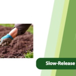 Slow-Release Fertilizers