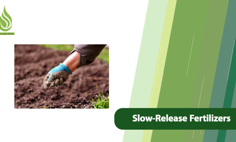تصویر Why Professional Farmers Choose Slow-Release Fertilizers