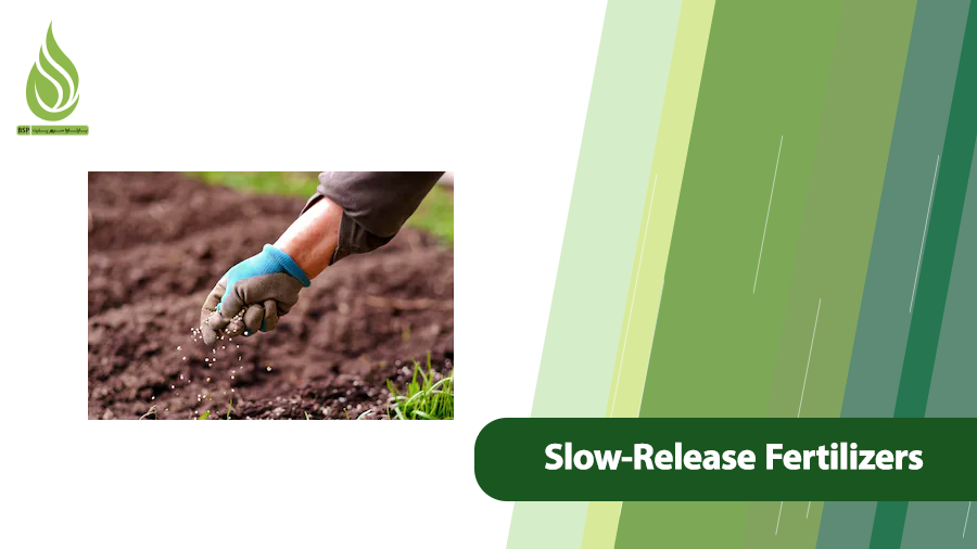 Slow-Release Fertilizers
