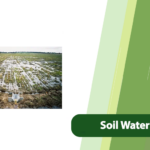Soil Waterlogging