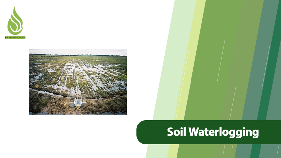 Soil Waterlogging