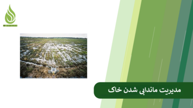 تصویر علت ماندابی شدن خاک چیست؟ چگونه این مشکل را رفع کنیم؟