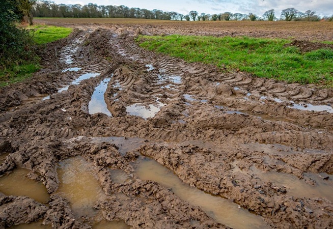 دلایل ماندابی شدن خاک