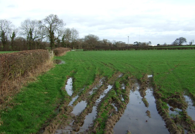 تشخیص ماندابی شدن خاک