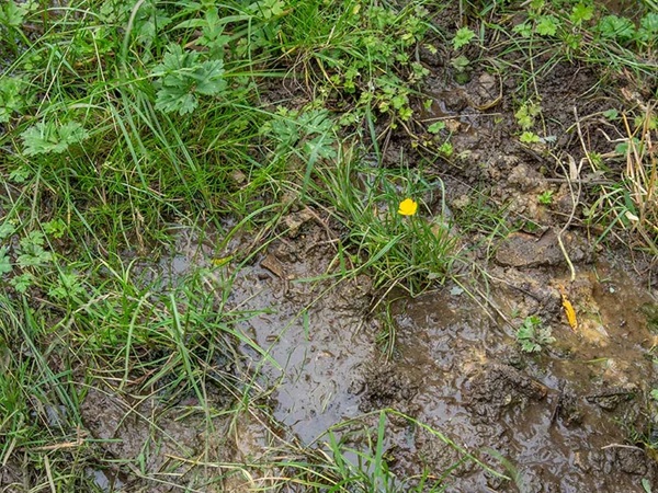 کنترل ماندابی شدن خاک