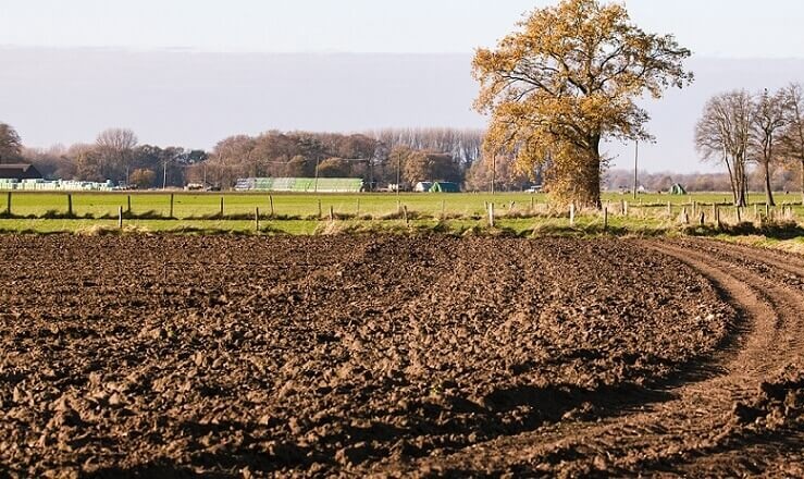 اهمیت آیش زمین کشاورزی