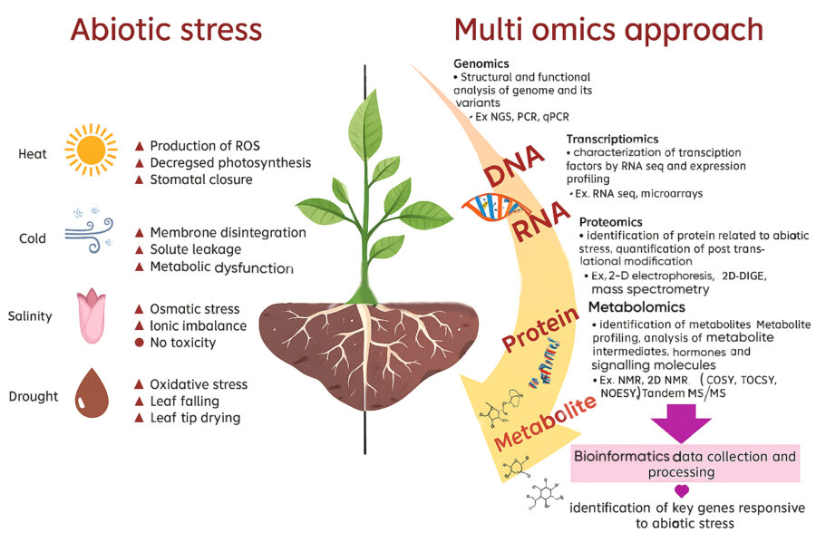 Biotic Stress (From Living Organisms)