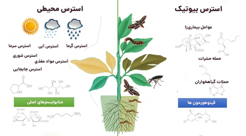 عوامل ایجاد استرس در گیاهان