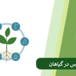 بررسی عوامل بروز استرس در گیاهان و روش های کنترل استرس