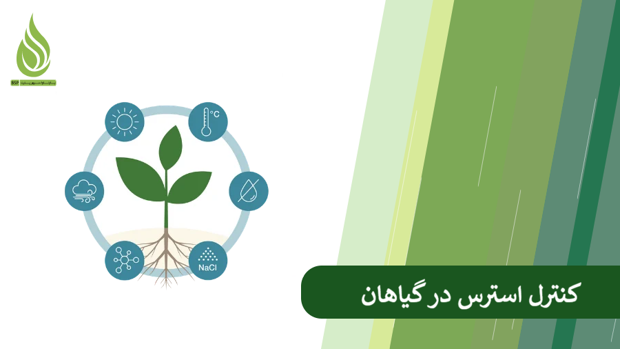 بررسی عوامل بروز استرس در گیاهان و روش های کنترل استرس