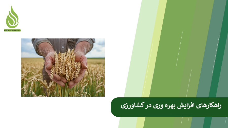 راه های افزایش بهره وری در کشاورزی