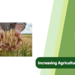 Increasing Agricultural Productivity