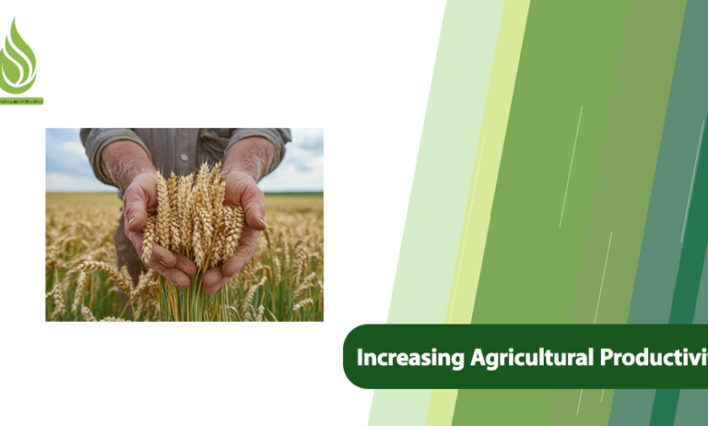 تصویر What Are the Ways of Increasing Agricultural Productivity?
