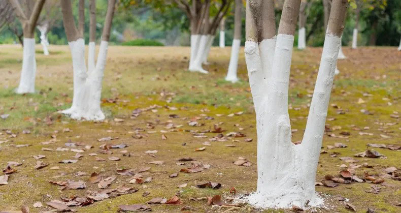 Best Practices for Application