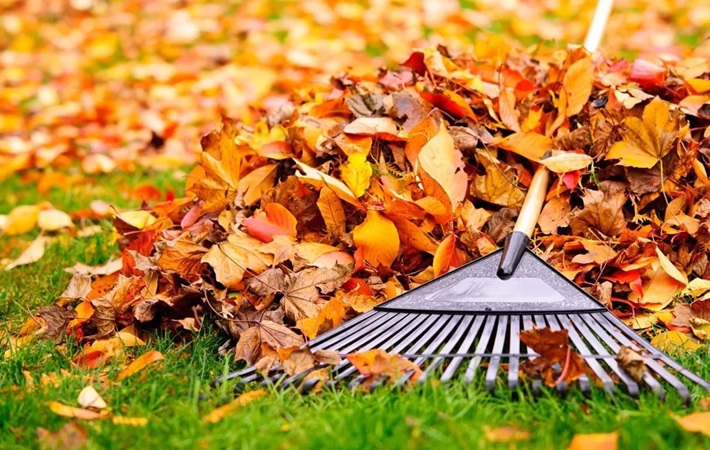 Autumn Horticulture: Key Considerations