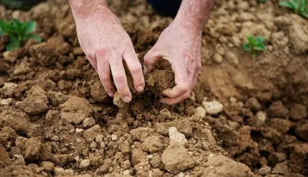 Reducing Soil Compaction