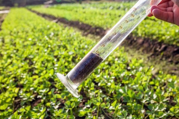 The Role of Soil Testing in Increasing Water Retention