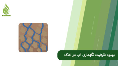 تصویر خاک زود خشک می شود؟ این روش ها ظرفیت نگهداری آب در خاک را بالا می برند.