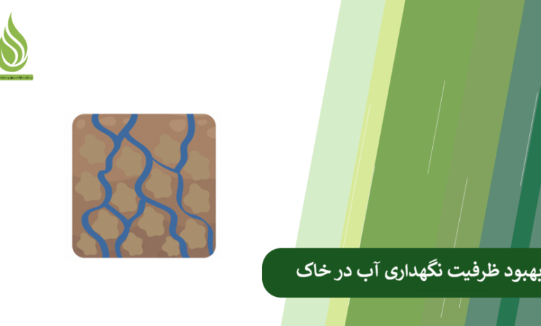 تصویر خاک زود خشک می شود؟ این روش ها ظرفیت نگهداری آب در خاک را بالا می برند.