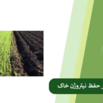 همه چیز درباره نقش گیاخاک در نگهداری نیتروژن