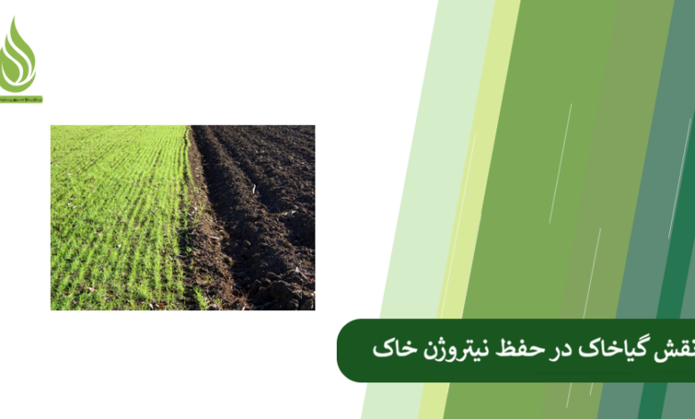 تصویر چگونه گیاخاک باعث نگهداری نیتروژن در خاک می شود؟