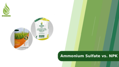 تصویر Ammonium Sulfate vs. NPK: Which Fertilizer is the Best for You?