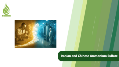 تصویر A Comparison of Iranian, Chinese, and Turkish Ammonium Sulfate