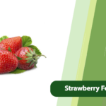 Strawberry Fertilization