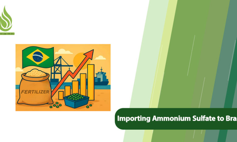 تصویر A Guide to Importing Ammonium Sulfate from Iran to Brazil