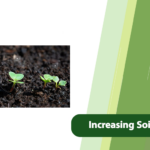 Increasing Soil Nitrogen