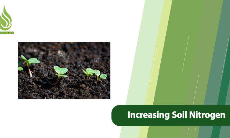 تصویر Increasing Nitrogen in Soil & Preserving It
