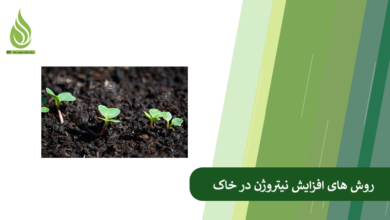 تصویر معرفی جامع روش های افزایش نیتروژن در خاک + روش های حفظ نیتروژن