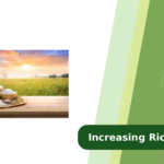 Increasing Rice Tonnage