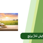 راهکارهای افزایش تناژ برنج