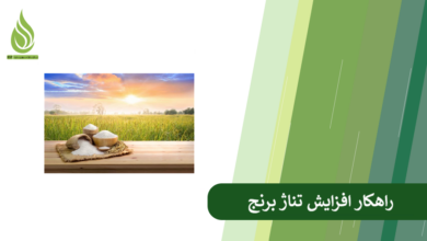 تصویر چرا تناژ برنج پایین است؟ راهکارهای عملی برای افزایش تناژ برنج