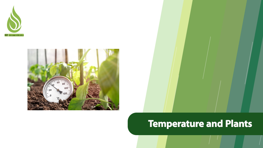 Temperature and Plants