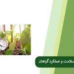 همه چیز درباره تاثیر دمای هوا بر گیاهان