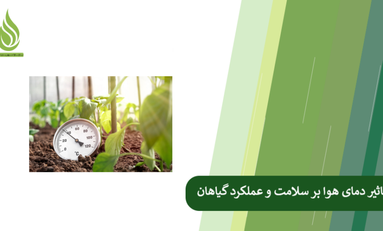 تصویر دمای هوا چه تاثیر هایی بر سلامت و عملکرد گیاهان می گذارد؟