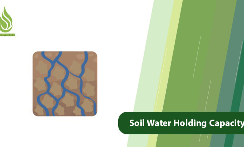 تصویر Quick Soil Dry Out & Ways to Increase Soil Water Holding Capacity